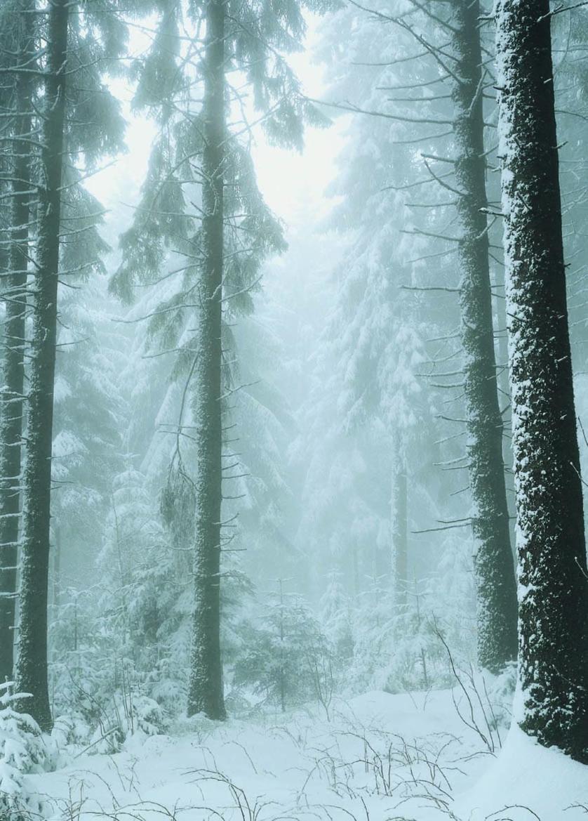 Ferienwohnung Bodehexe 2 Braunlage Kültér fotó